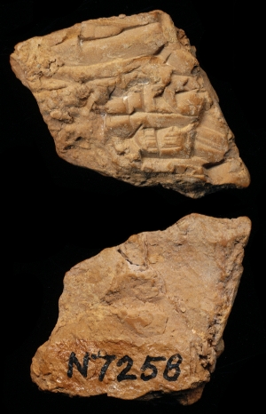 N7258