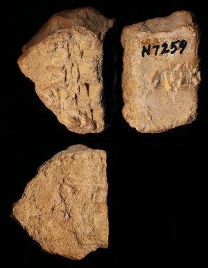N7259