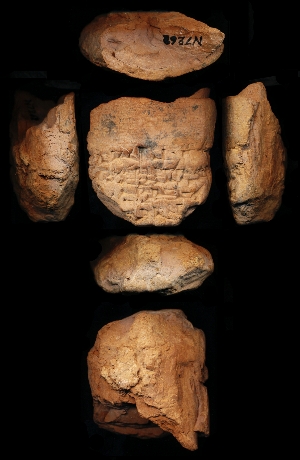 N7262