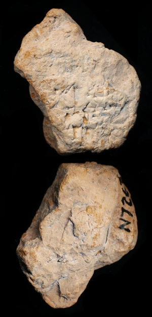 N7263