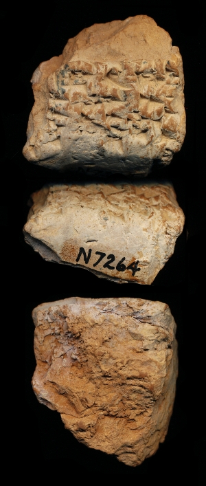 N7264