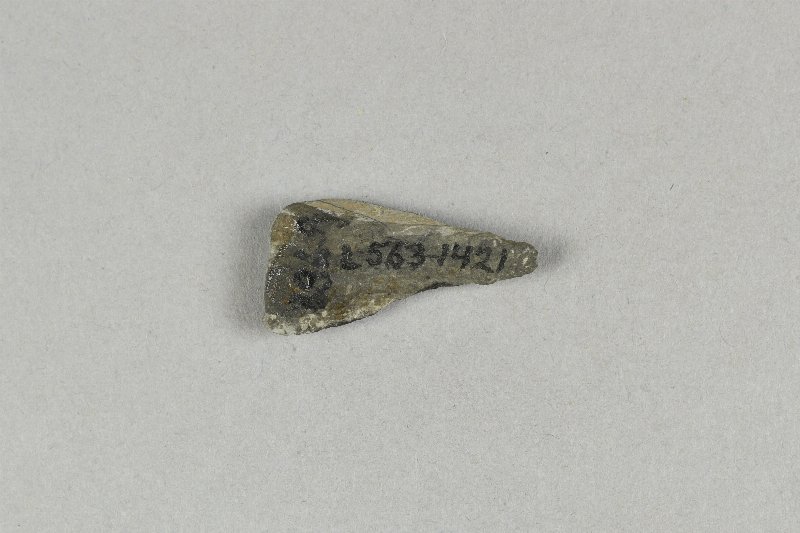 810282
