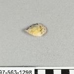 810453