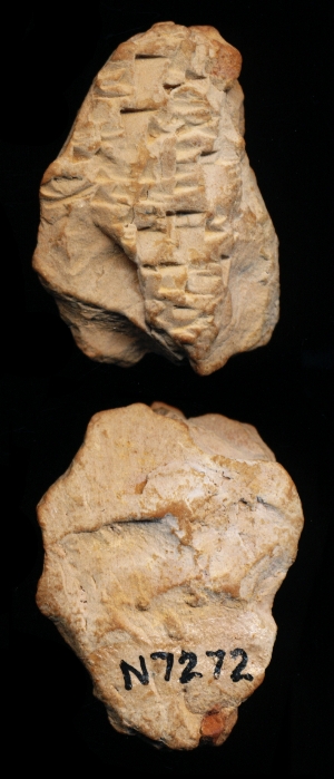 N7272