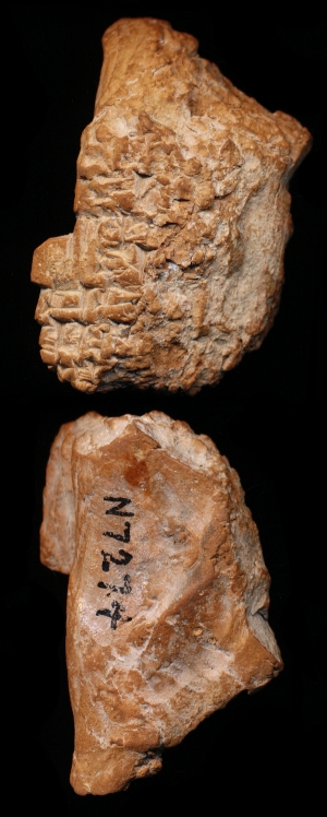 N7274