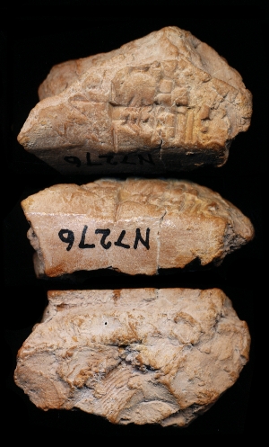 N7276