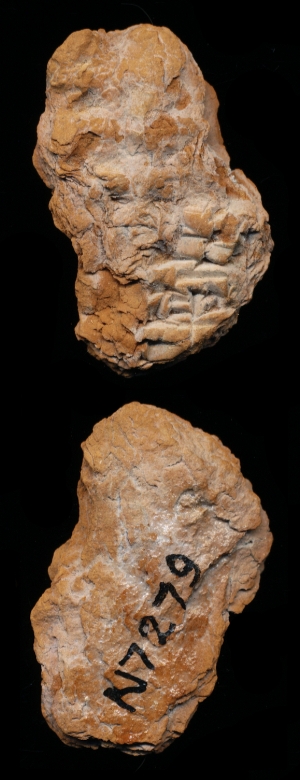 N7279