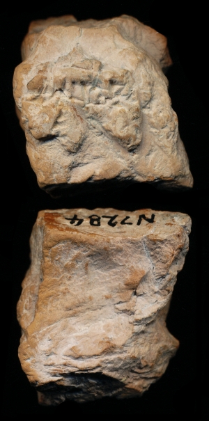 N7284