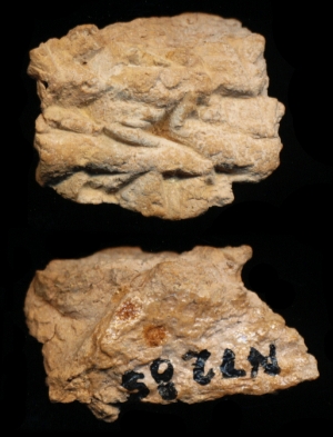 N7285