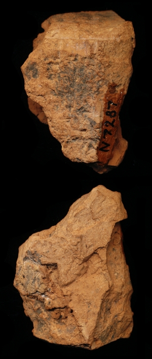 N7287