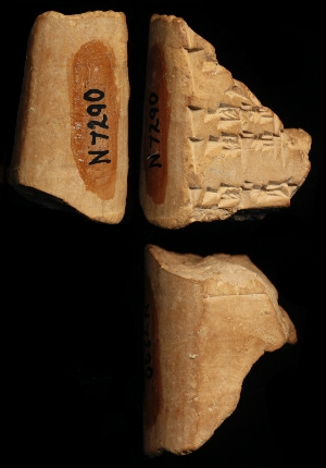 N7290