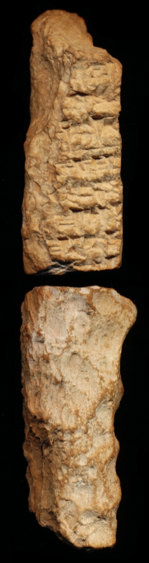 N7292