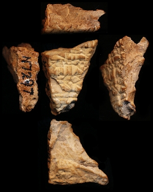 N7297