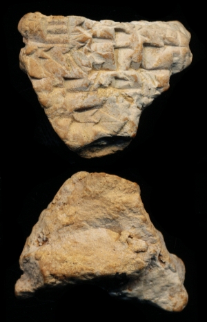 N7298