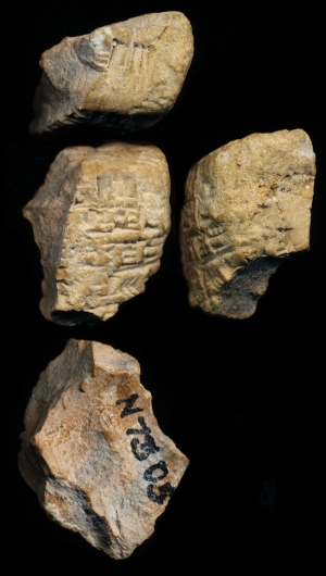 N7305