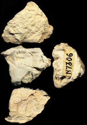 N7306