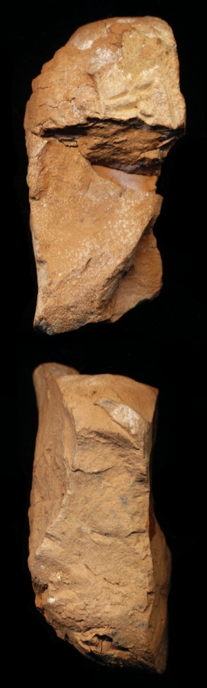 N7313
