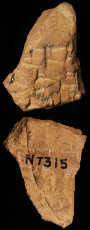 N7315