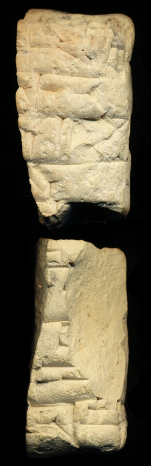 N7316