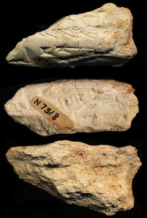 N7318
