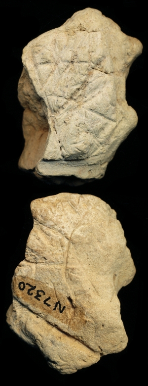 N7320
