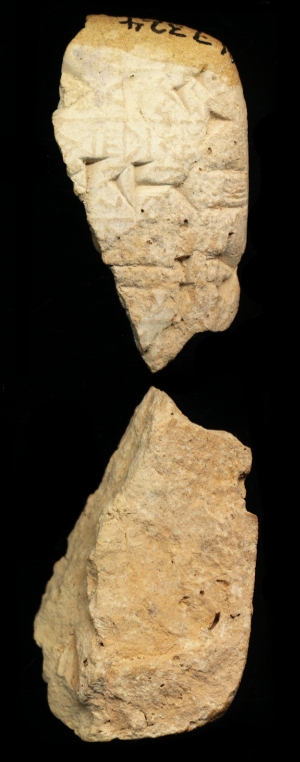N7324