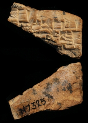 N7325