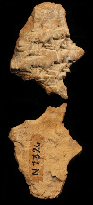 N7326