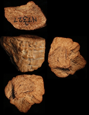 N7327