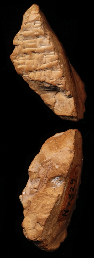 N7329