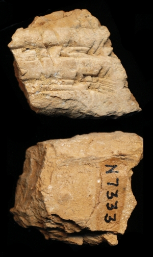 N7333