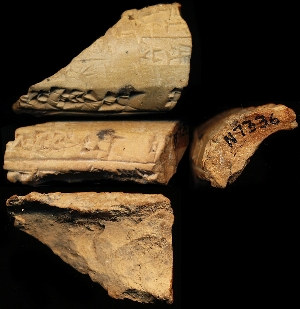 N7336