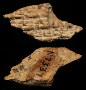 N7337