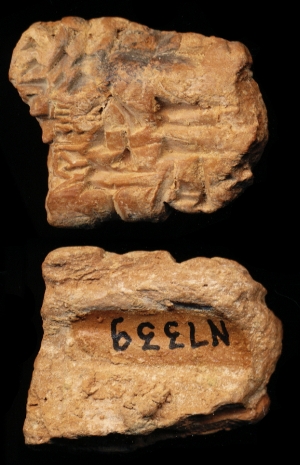 N7339