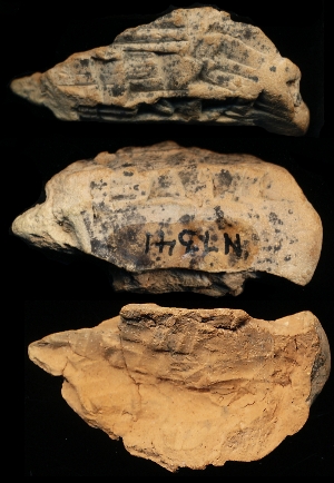 N7341
