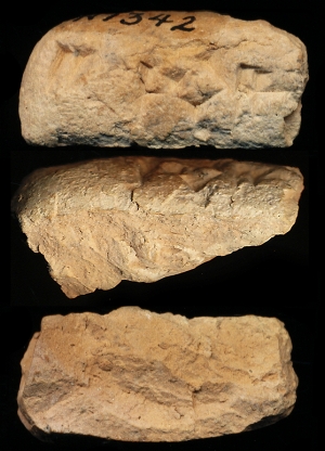 N7342