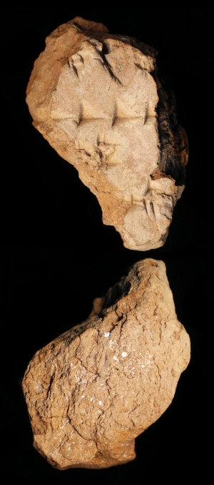 N7345