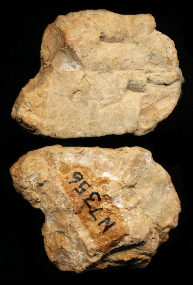 812277