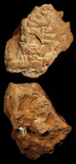 N7357
