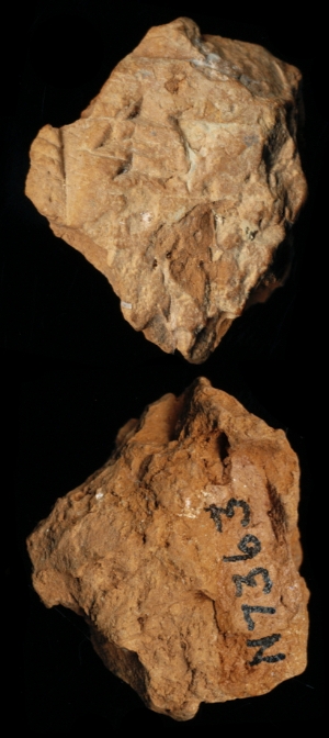 N7363