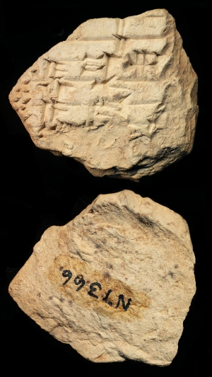 N7366