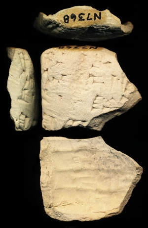 N7368