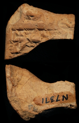 N7371