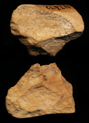 N7372