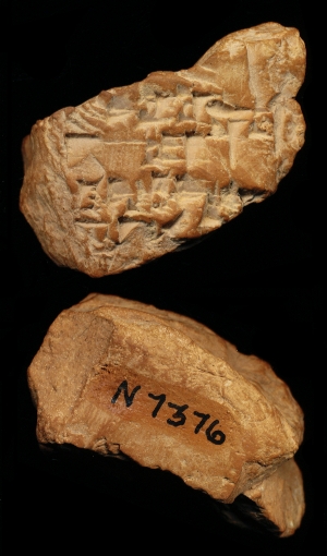N7376