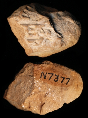 N7377