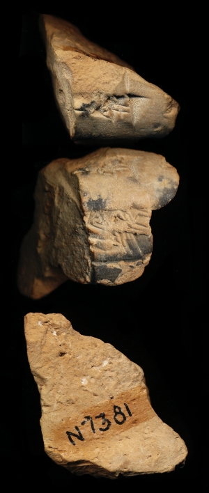 N7381