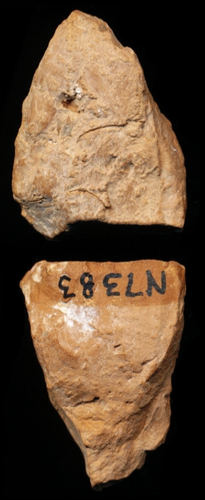 N7383