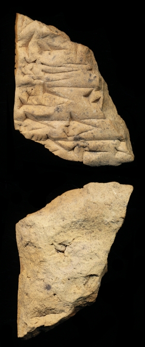 N7384