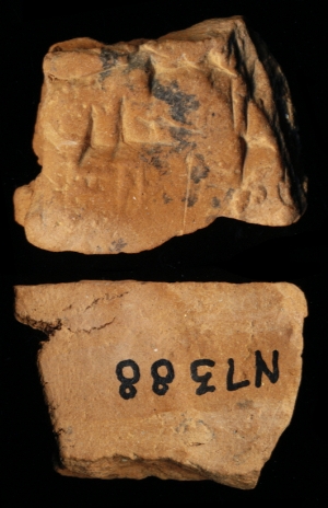 N7388
